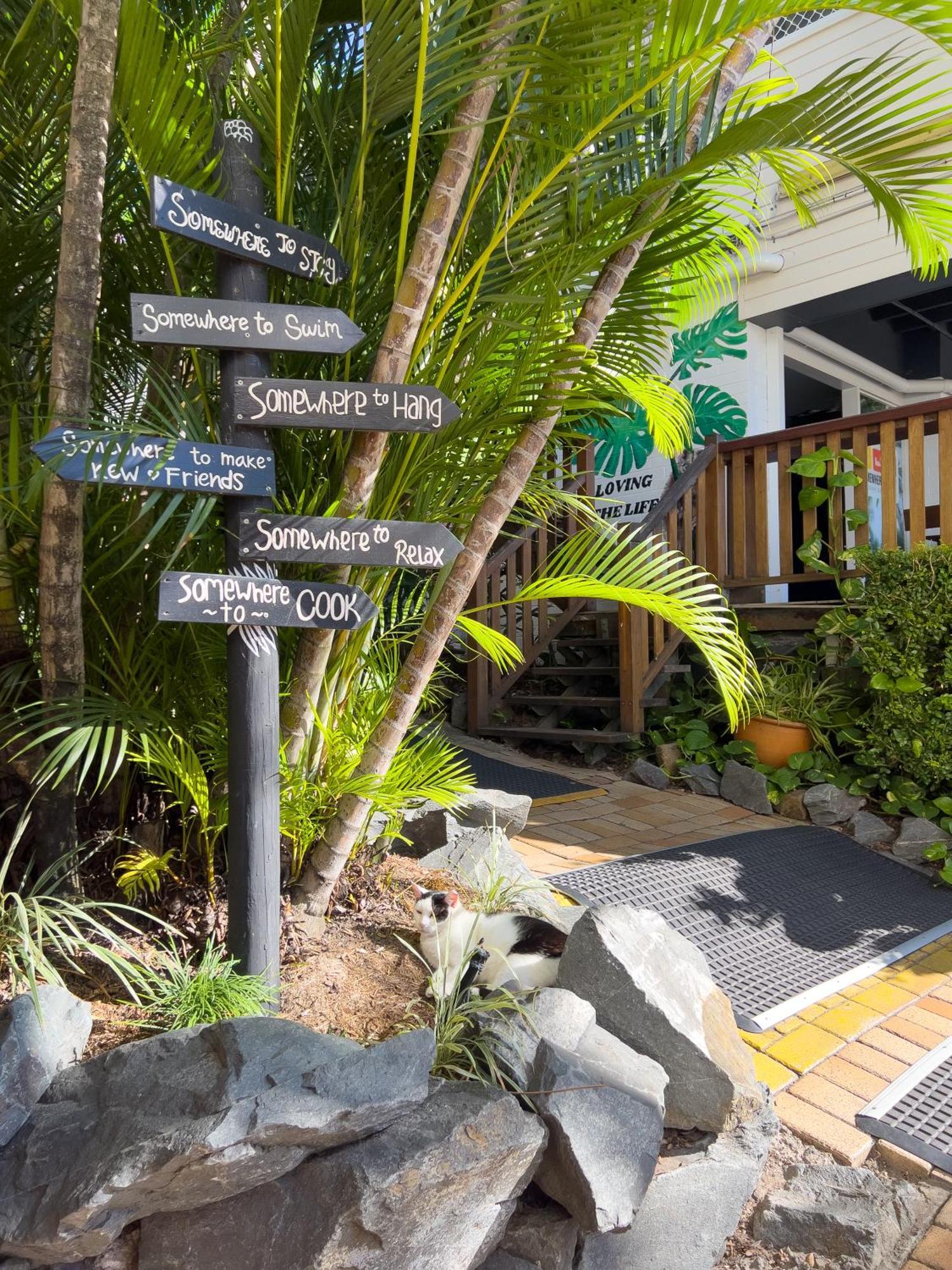 Somewhere To Stay Backpackers Brisbane Ngoại thất bức ảnh